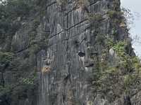 Great experience with HaLong Bay Ambassador Overnight Cruise 
