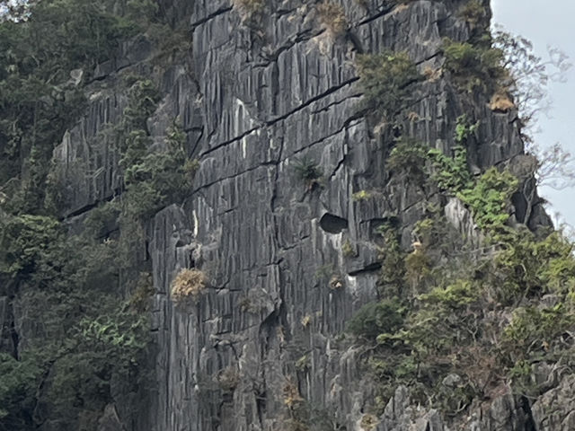 Great experience with HaLong Bay Ambassador Overnight Cruise 