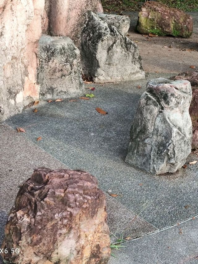Replica dragon teeth