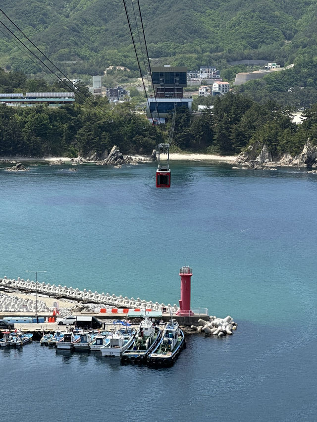 🚡삼척의 아름다운 항구 바다 장호항의 전경을 볼 수 있는 🏝️ 삼척 어트랙션 여행코스