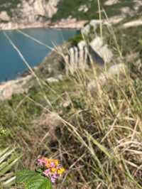 Stunning ancient and natural wonders in Po Toi Island Hong Kong 