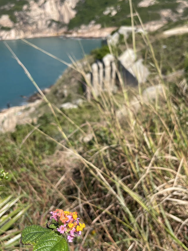 Stunning ancient and natural wonders in Po Toi Island Hong Kong 