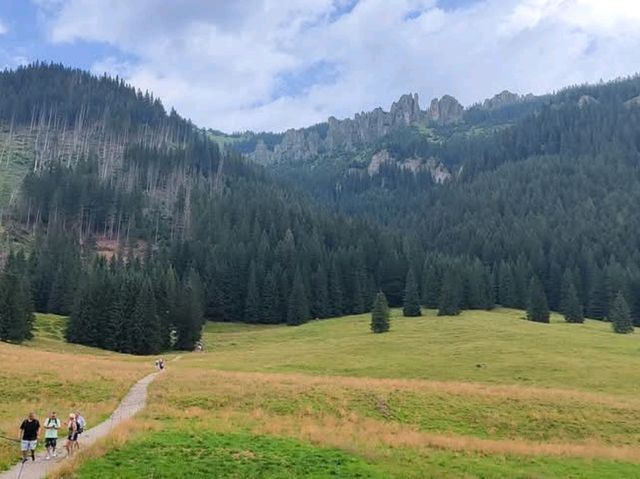 到札科帕內Dolina Chochołowska山谷健行