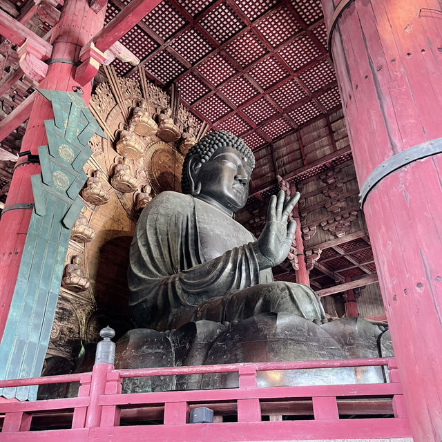 Meeting the Great Buddha: Todaiji