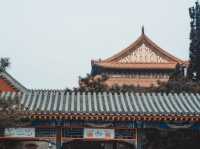 เดินเล่นทั่ว BEIJING ในฤดูใบไม้ผลิ 🌿🌸