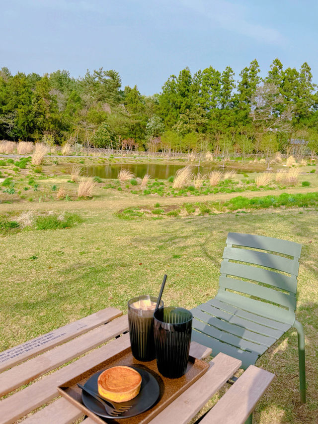🪵제주도 서귀포 카페 <담소요> 힐링을 원한다면 무조건 추천