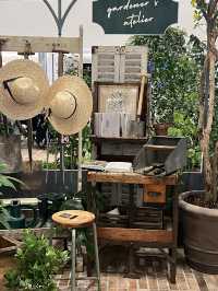 🌿 Sounds Forest: สวนในร่มกลางเมือง