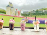 เที่ยวเขาค้อในสไตล์แบบ princess ถ่ายรูปให้ปัง