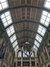 🦖 Natural History Museum, London UK 🦕