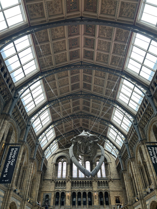 🦖 Natural History Museum, London UK 🦕