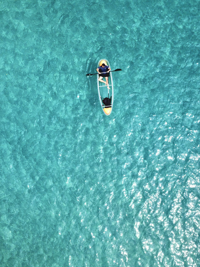 Drifting in the blue ocean 
