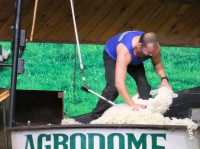 #愛歌頓農場Agrodome Farm-紐西蘭羅託魯亞