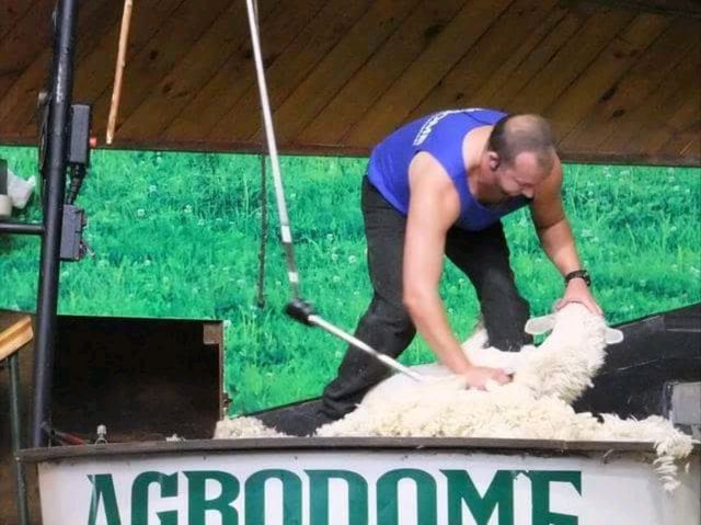 #愛歌頓農場Agrodome Farm-紐西蘭羅託魯亞