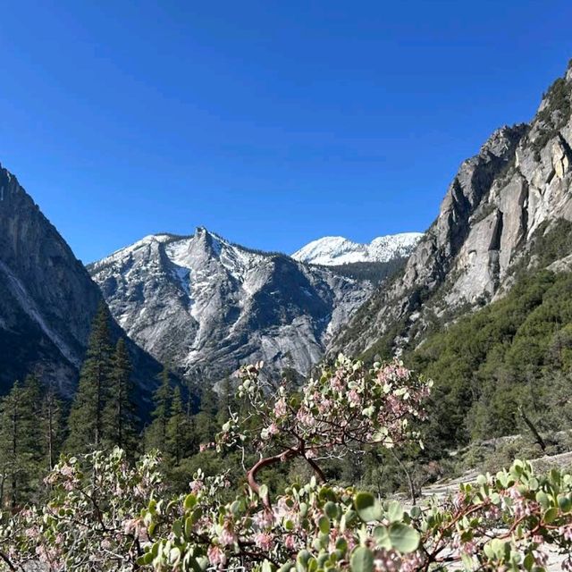 Kings Canyon National Park – CA