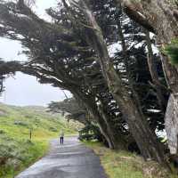 Point Reyes National Seashore – Marin County, CA