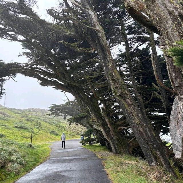 Point Reyes National Seashore – Marin County, CA