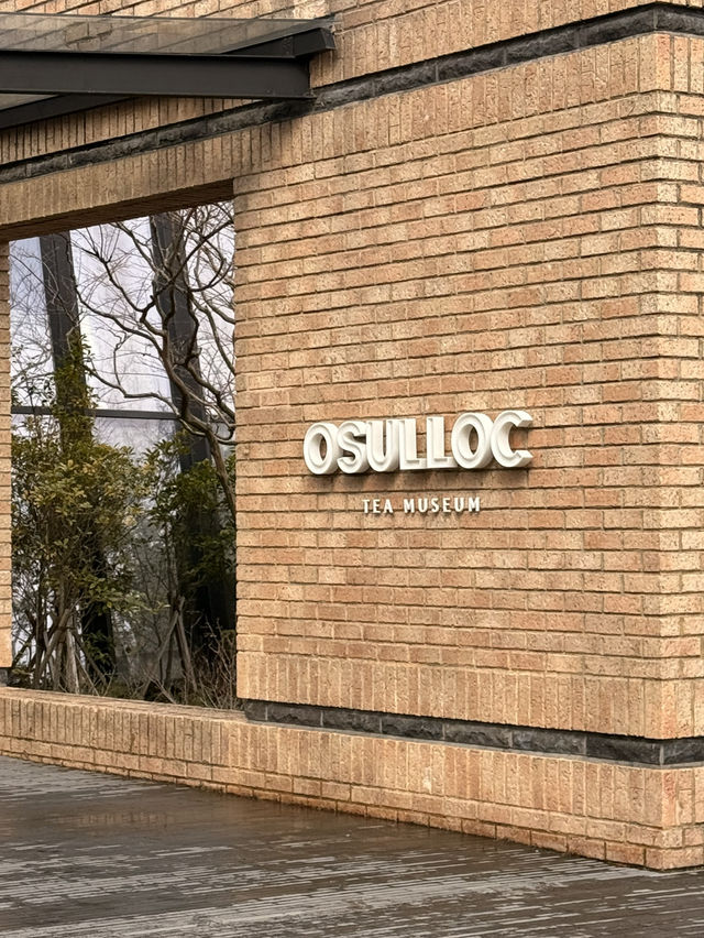 韓國濟州🍊｜遍地茶園的「Osulloc茶博物館」🌱