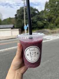 【福岡～八女】うどんとグルメで満腹！自然の恵みを味わう、2日間のとっておき旅🍽🍇🍵