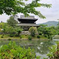 Mystical Encounters at Iwakuni Shirohebi Shrine