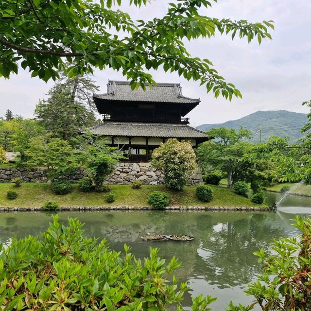 Mystical Encounters at Iwakuni Shirohebi Shrine