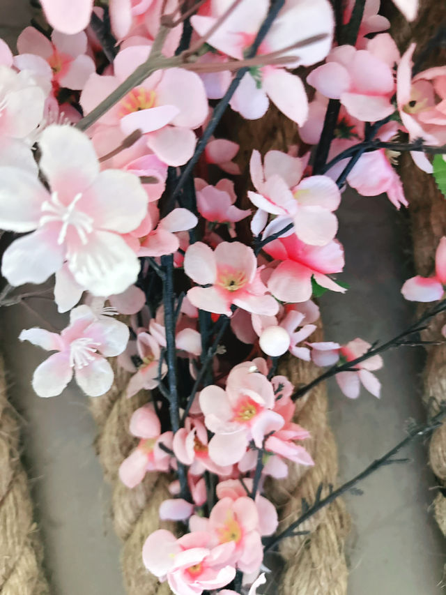 Sakura Symphony from Mount Yoshino’s Slopes