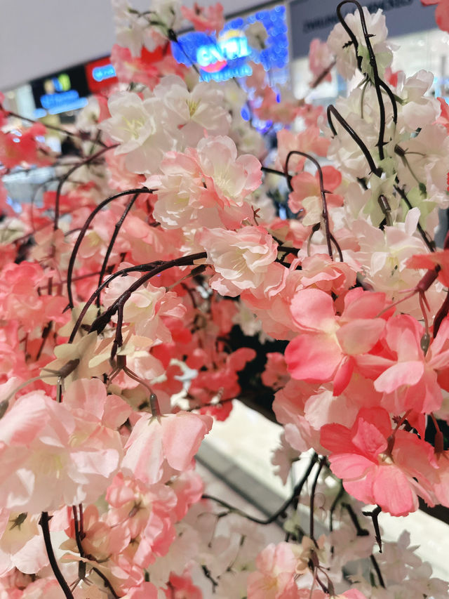 Samurai Blossoms and Petal Dreams at Kikko Park, Yamaguchi