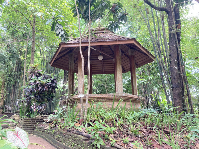 เที่ยวธรรมชาตินั่งสมาธิสงบ “วัดผาลาด” 
