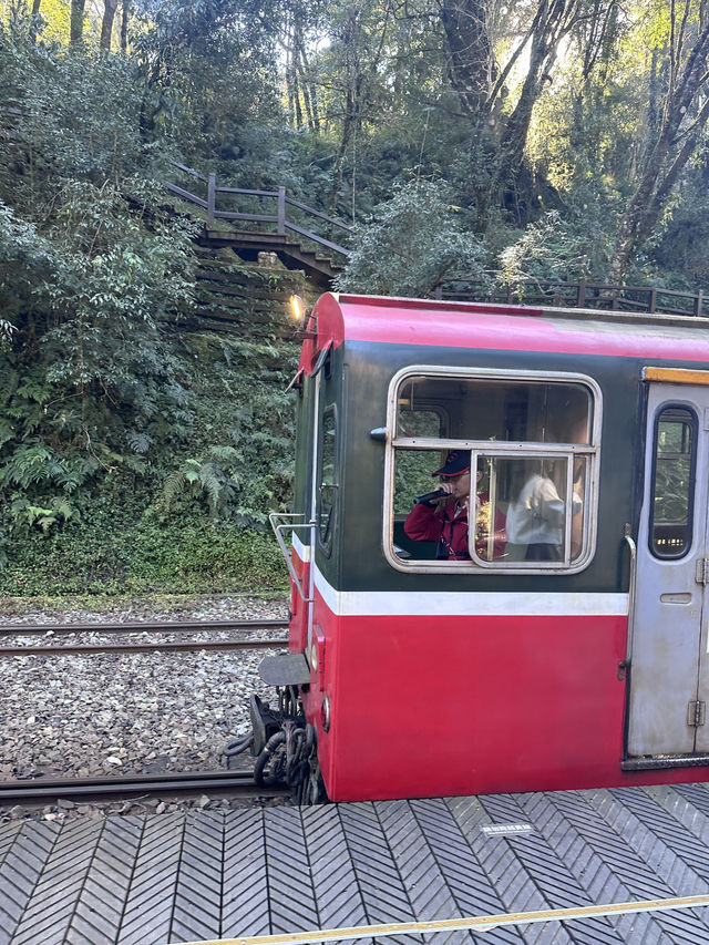 alishan national park