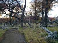 해외여행 아르헨티나의 아름다운 Sendero al Fitz Roy