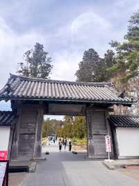 松島半日遊｜瑞巖寺、五大堂、伊達政宗歷史館