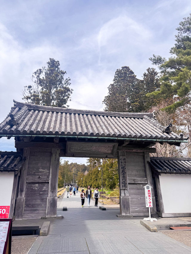 松島半日遊｜瑞巖寺、五大堂、伊達政宗歷史館