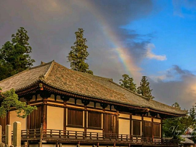 Todai-ji Temple – The Great Buddha of Nara