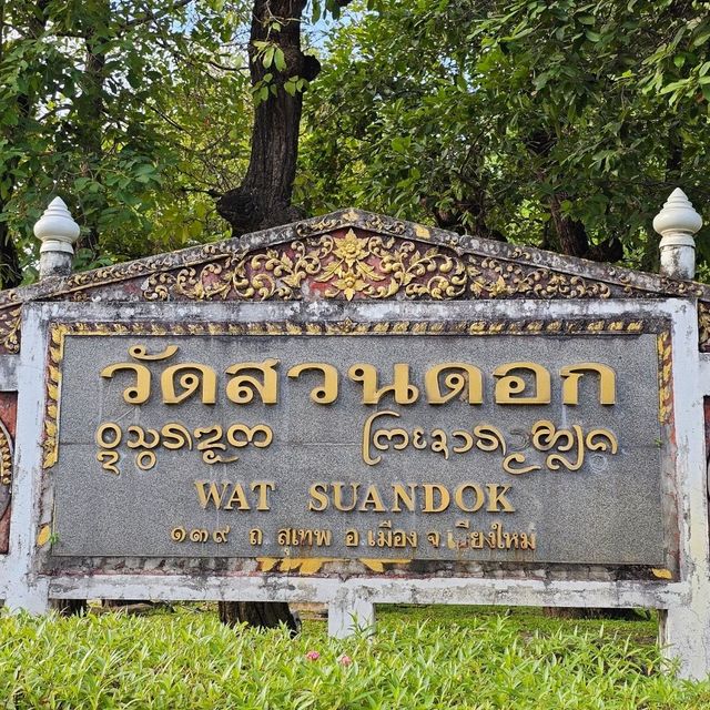 🪷ไหว้พระ | วัดสวนดอก เชียงใหม่🪷