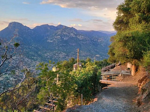 Giants of the Forest: Exploring Sequoia National Park