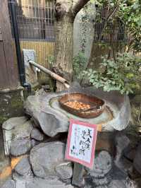 【熊本旅行】黒川温泉にある人気の旅館♨️美人湯の温泉卵も美味しい🥚