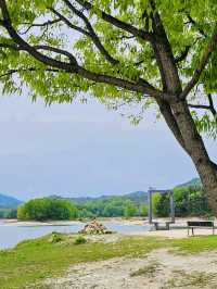A Peaceful Getaway: My Visit to Daejeon Meditation Garden