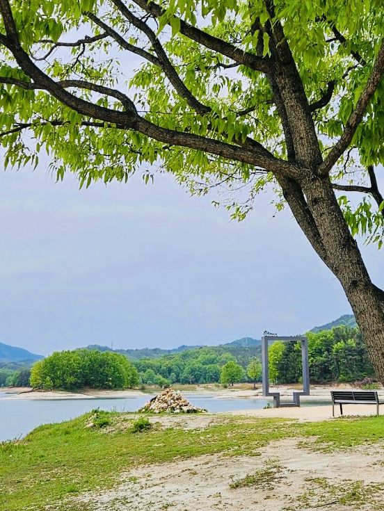 A Peaceful Getaway: My Visit to Daejeon Meditation Garden