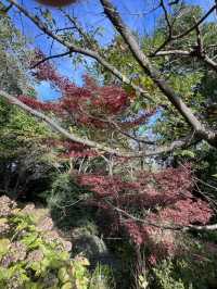 Mount Takao: A Refreshing Escape for Beginners