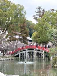 แหล่งท่องเที่ยวฟุกุโอกะ Dazaifu Tenmangu 🇯🇵