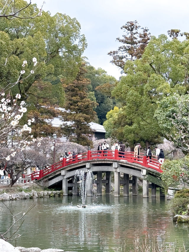 แหล่งท่องเที่ยวฟุกุโอกะ Dazaifu Tenmangu 🇯🇵