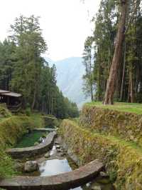 Discover the soul of Taiwan—ancient temp