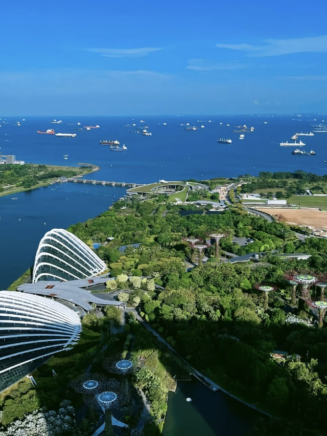 🏝️✨ รีวิวเที่ยวสิงคโปร์🇸🇬