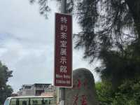 在歷史縫隙裡泡一壺時光——端午日訪金門特約茶室