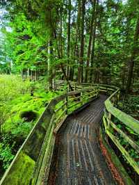 Pacific Spirit Regional Park – Vancouver’s Wild Coastal Forest