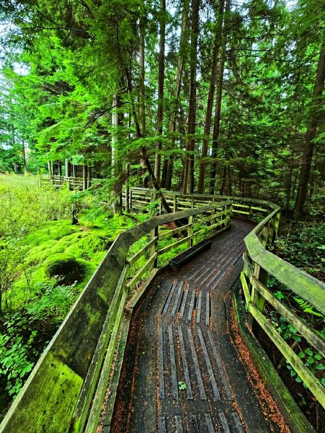 Pacific Spirit Regional Park – Vancouver’s Wild Coastal Forest