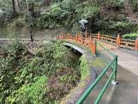 人生で1度は行きたい！1368段の階段の先に広がるパワースポット⛩🌿