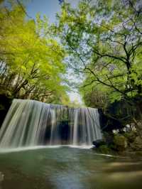 【神秘のパワースポット】裏側から見る神秘の滝体験🏞️💧✨