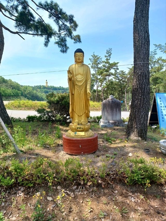 신비로운 산사, 영천 만불사