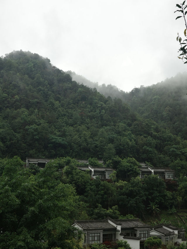 What to Expect in Heshun When It Rains: Food, Fog, and Friendly Hosts