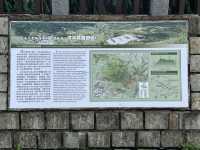 A worthy national park in Taipei